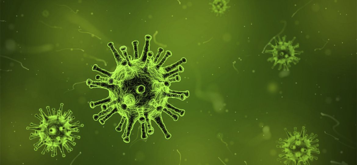 Coronavirus survey results blog header