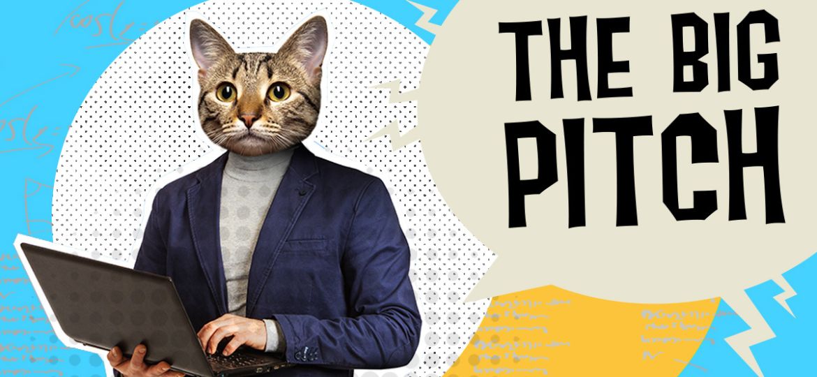 Cat in suit making a pitch